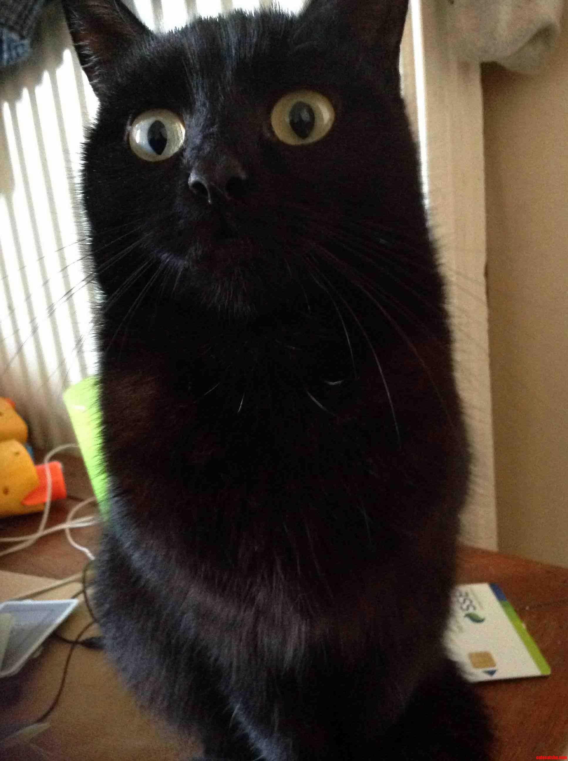 Look at Me My Eyes Are Massive Princess Loves to Look Like This.