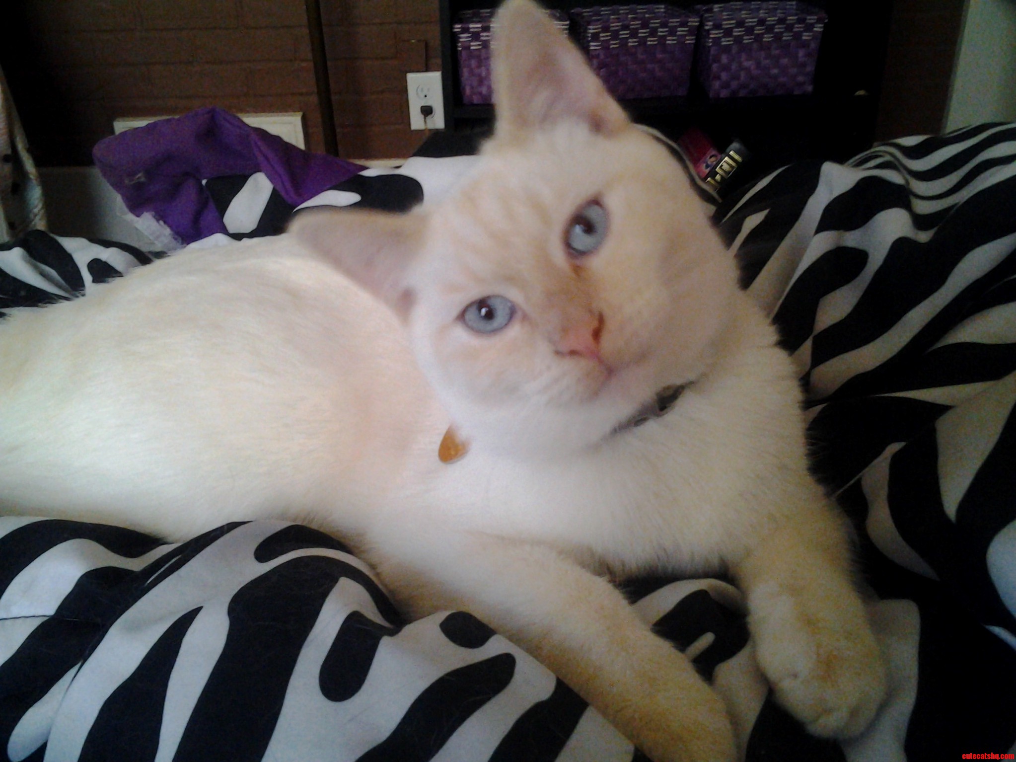 Love That Face