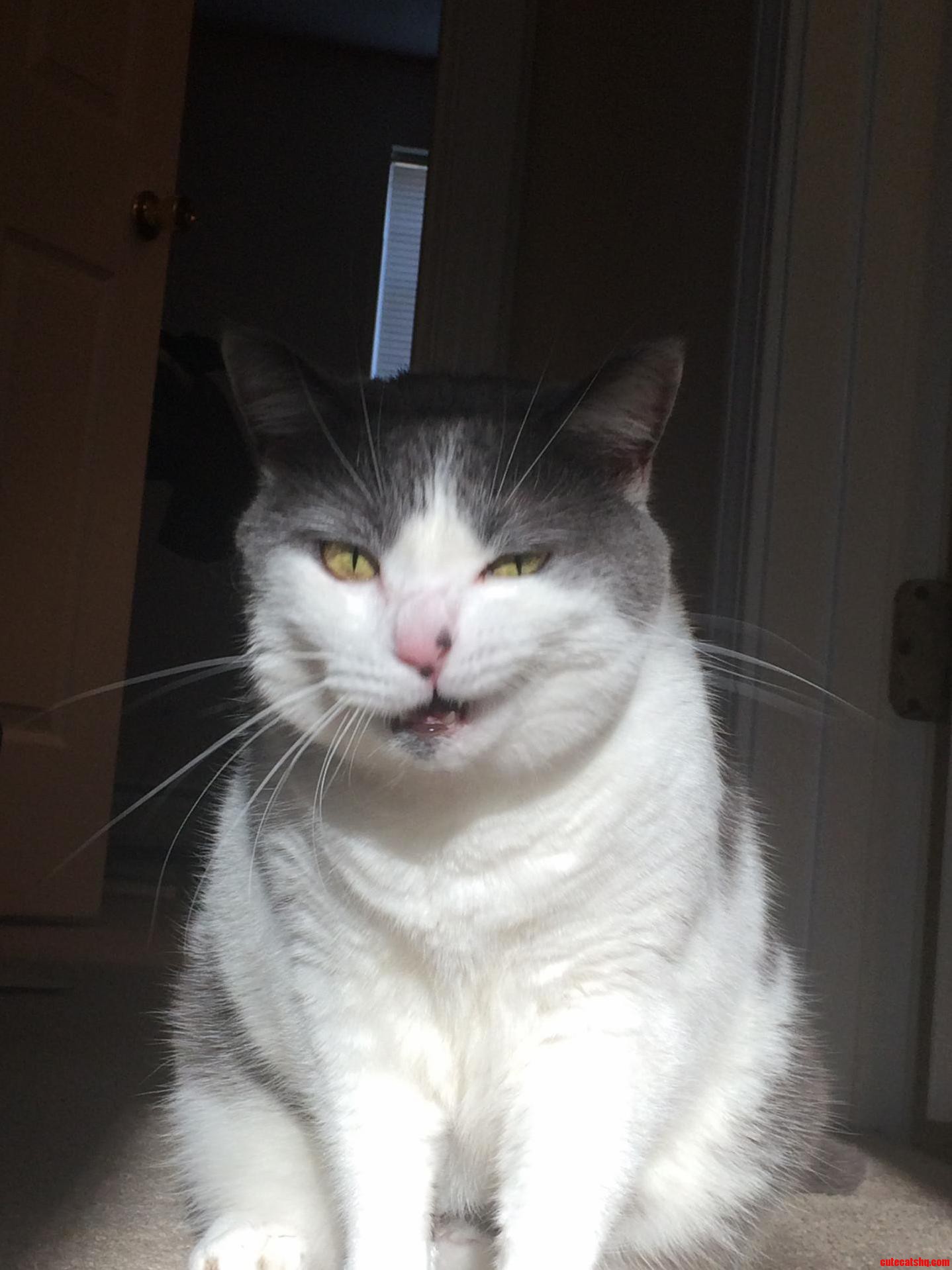 Magnolia Is Very Photogenic