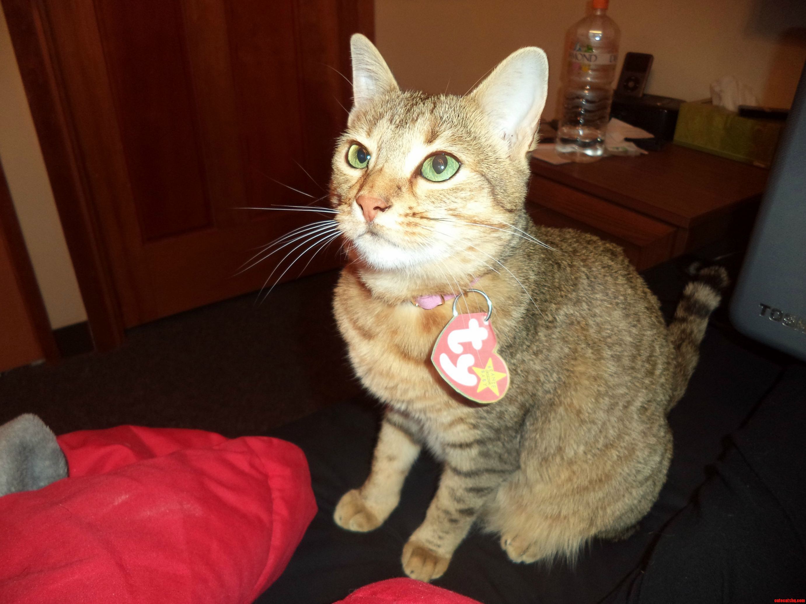 Meara Says Happy Halloween