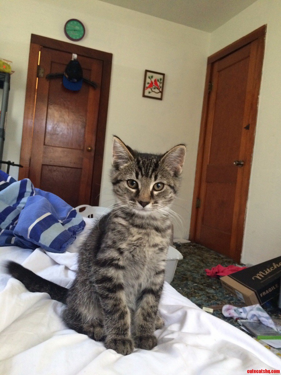 Meet Gnar