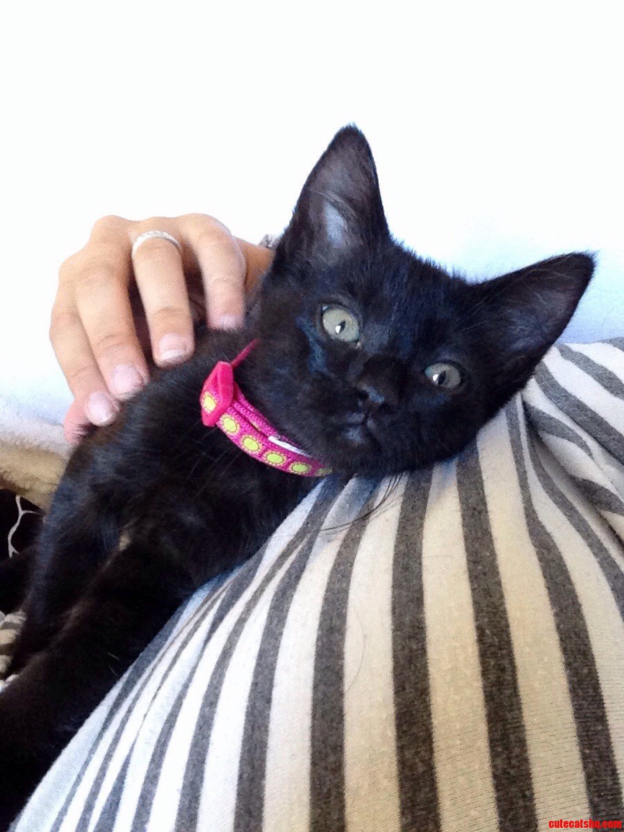 Meet Jasmine Formerly Known As Calvin.