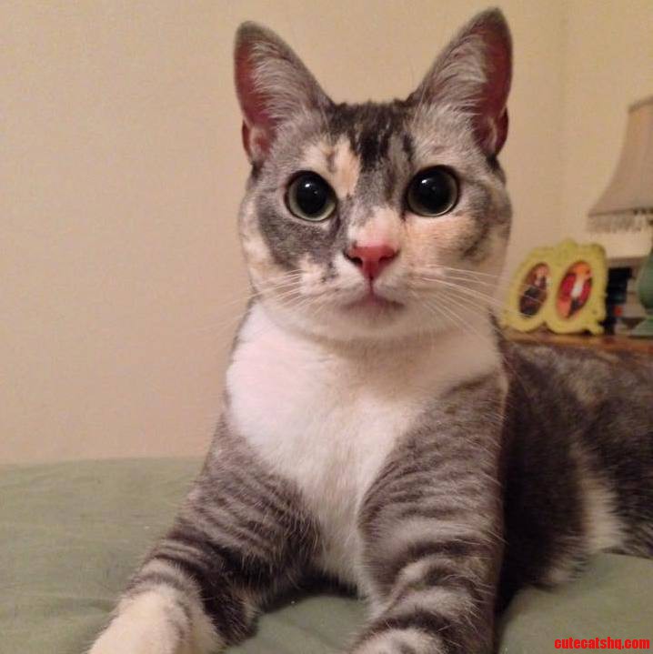 Meet Nerm