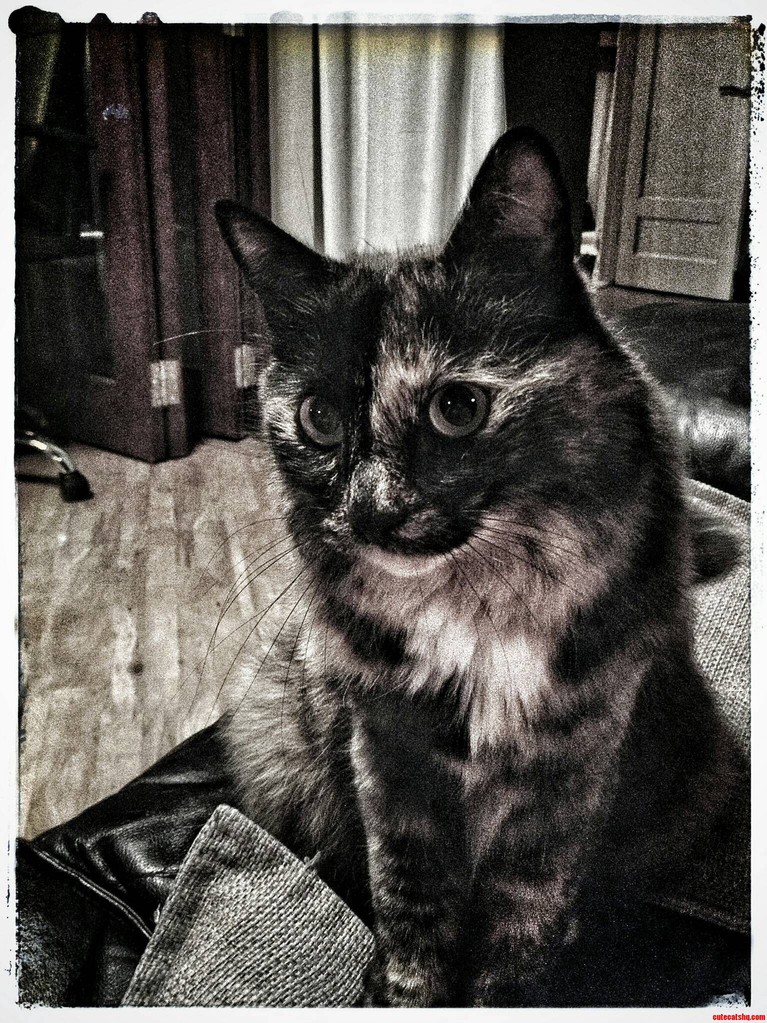 Meet Ruby She Says Hello