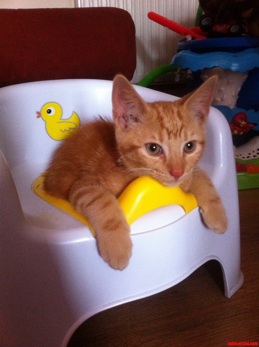 Meet Sergio