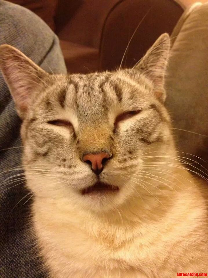 Mr. Babys Nap Face