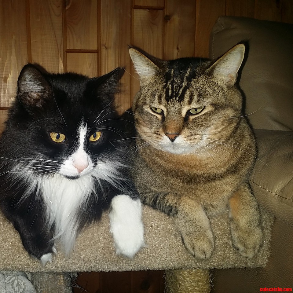 My Boys Love to Share