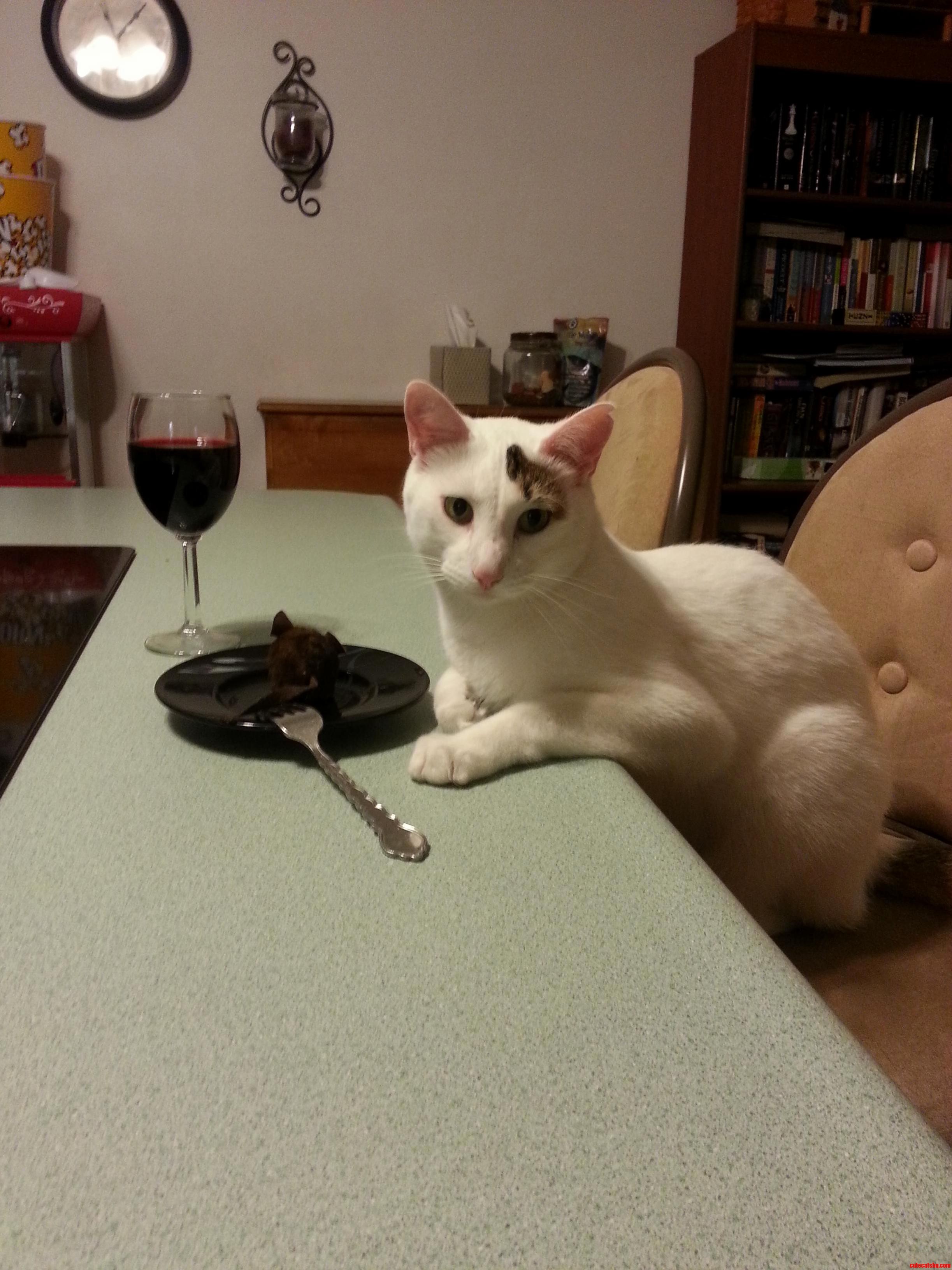 My Cat Also Enjoys Date Night