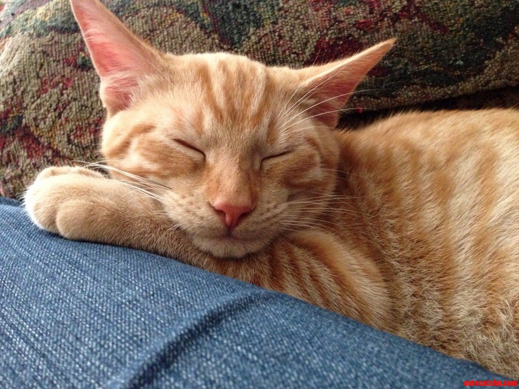 My Cuddle Buddy.