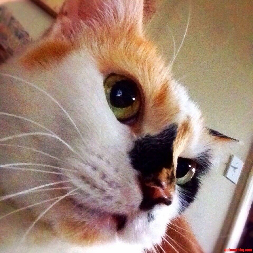My Family Lost Our Wonderful Friend Angel Last Night.