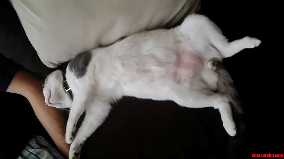 My Lazy Bum