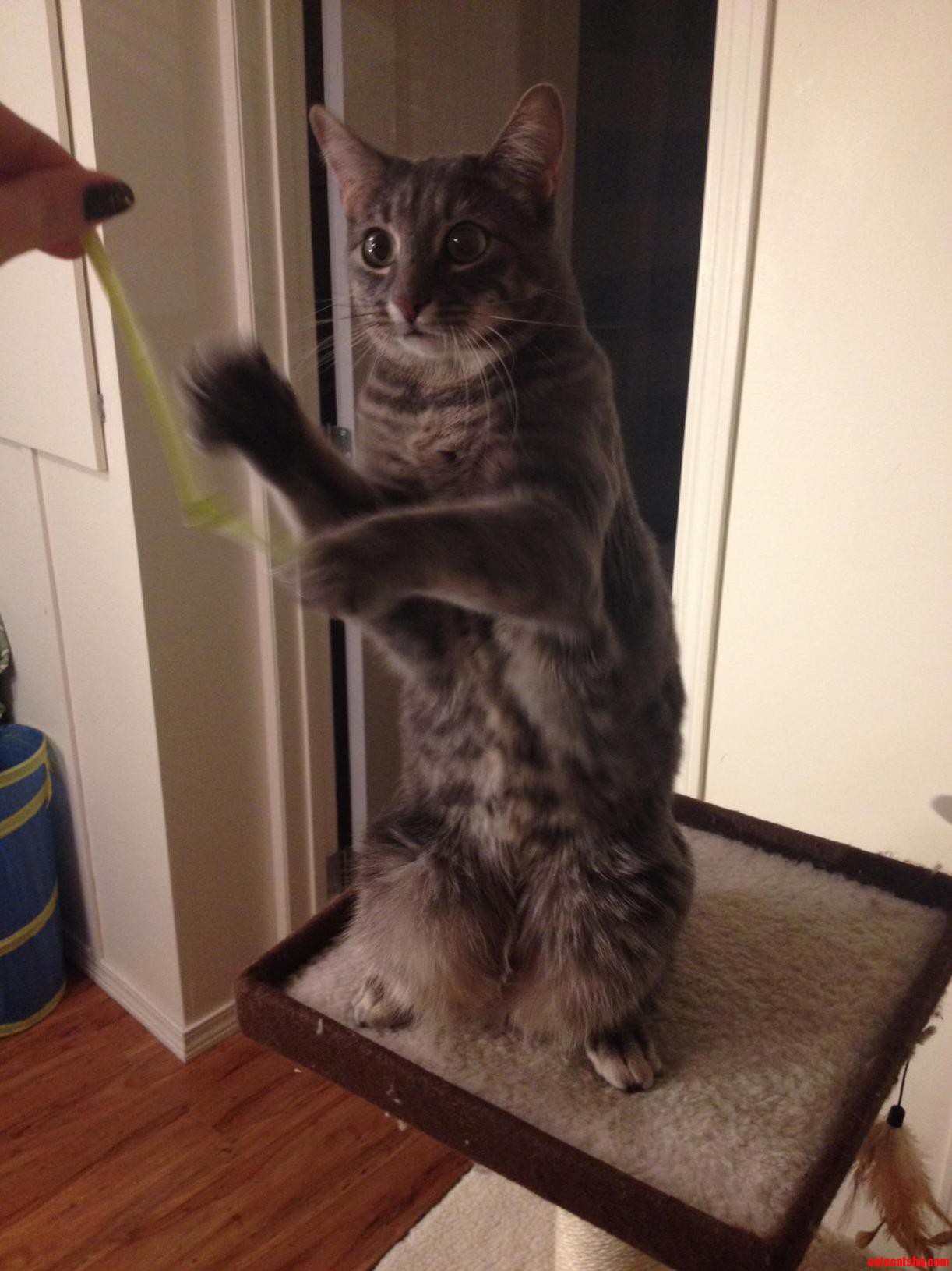 My Little Guy Has Seen Some Stuff