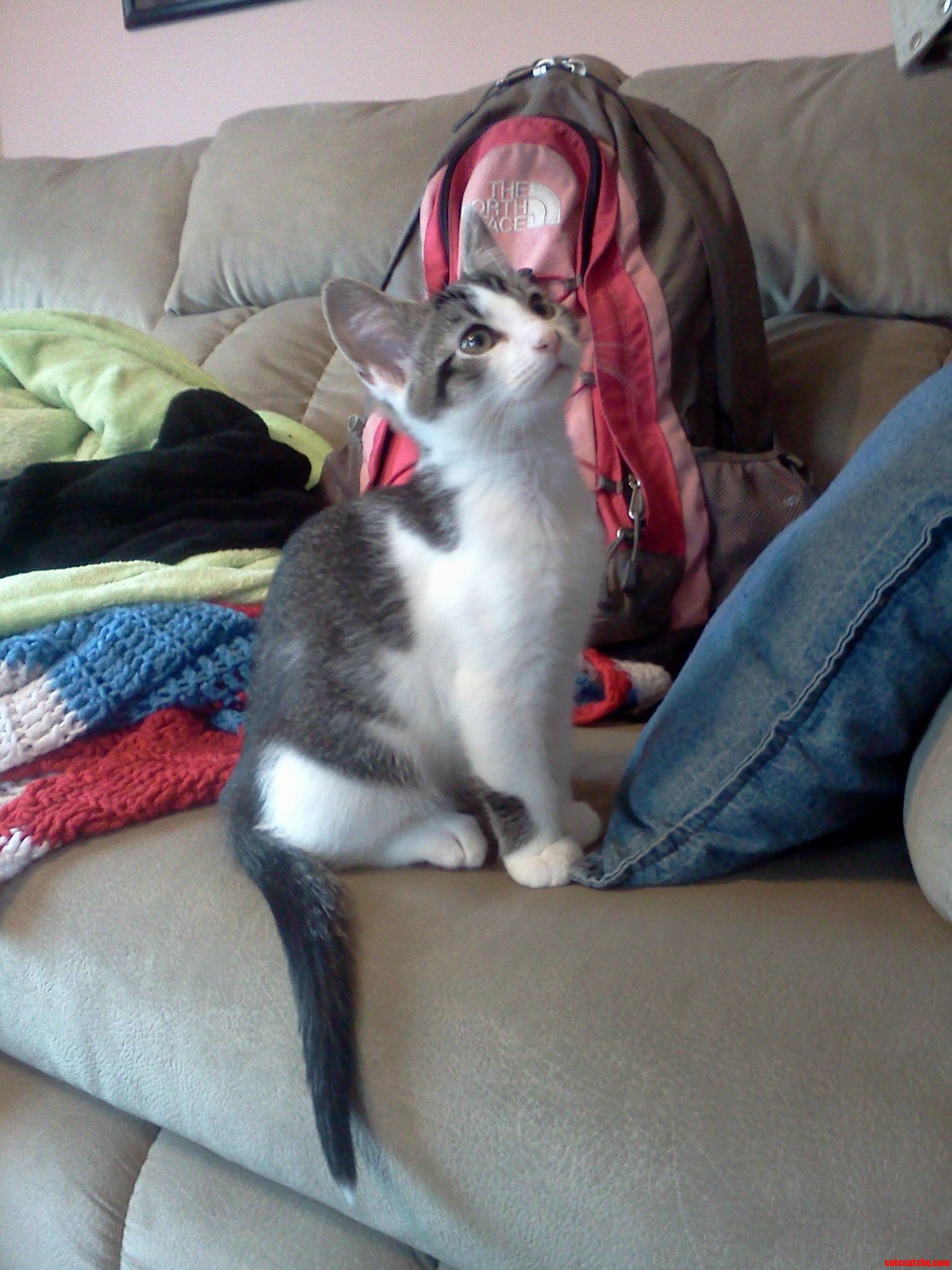 My Little Man When I First Got Him a Few Years Ago.. He Ran Away About 3 Months Ago Now I Miss Him So Much.