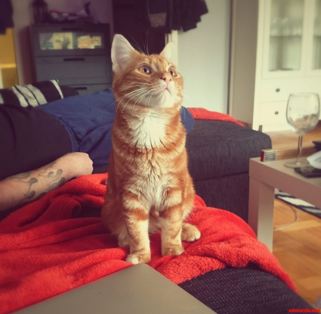 My Little Soldier