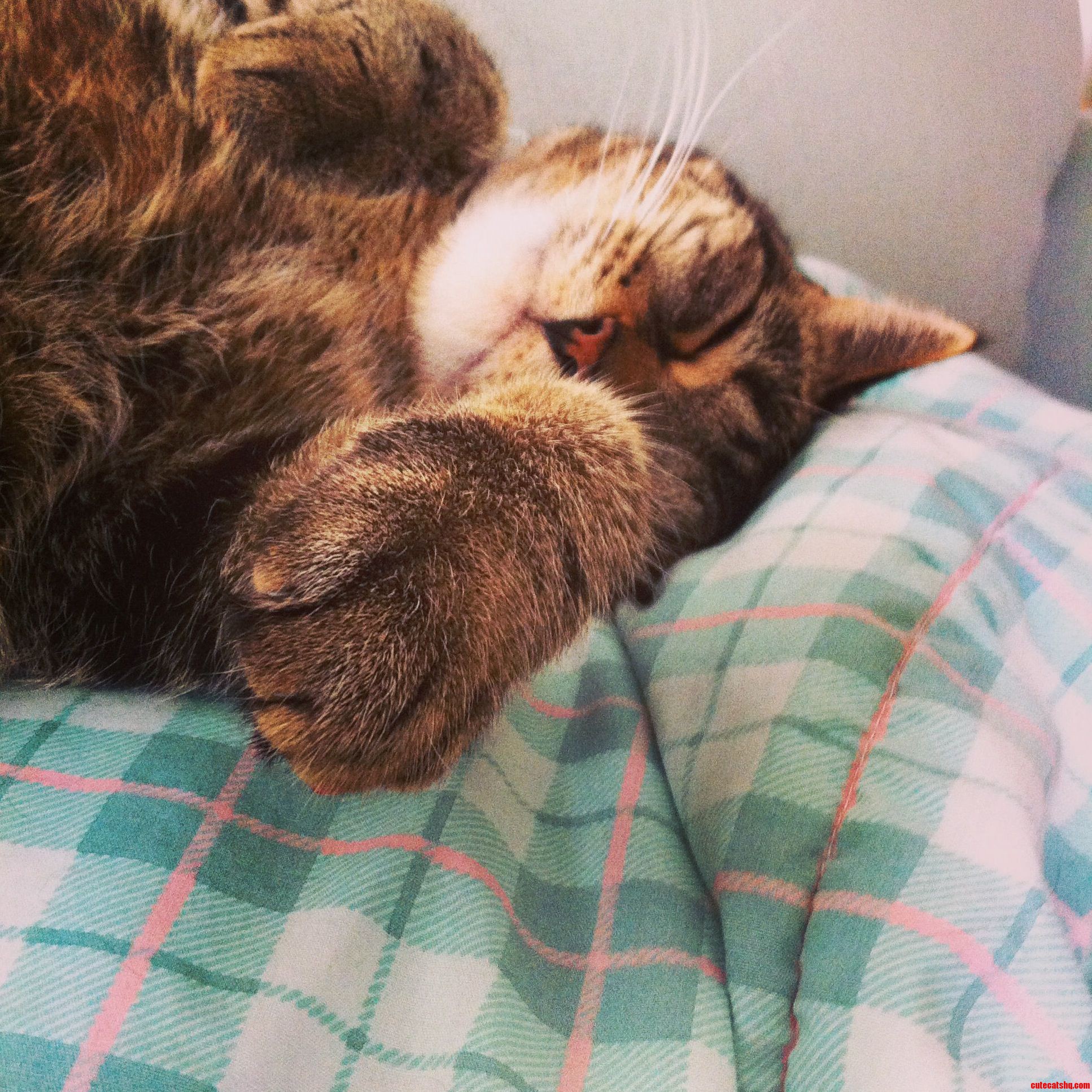 My Morning View