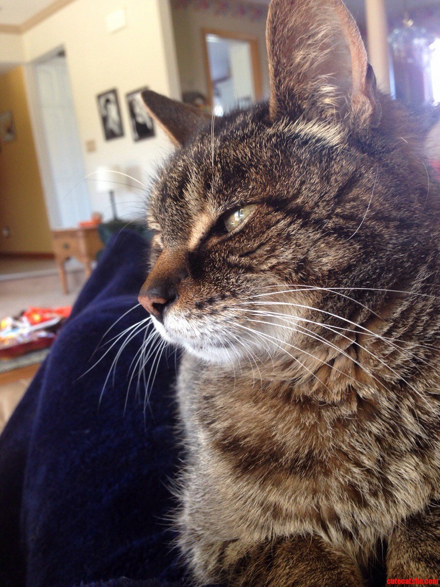My Old Man Taking a Cat Nap.