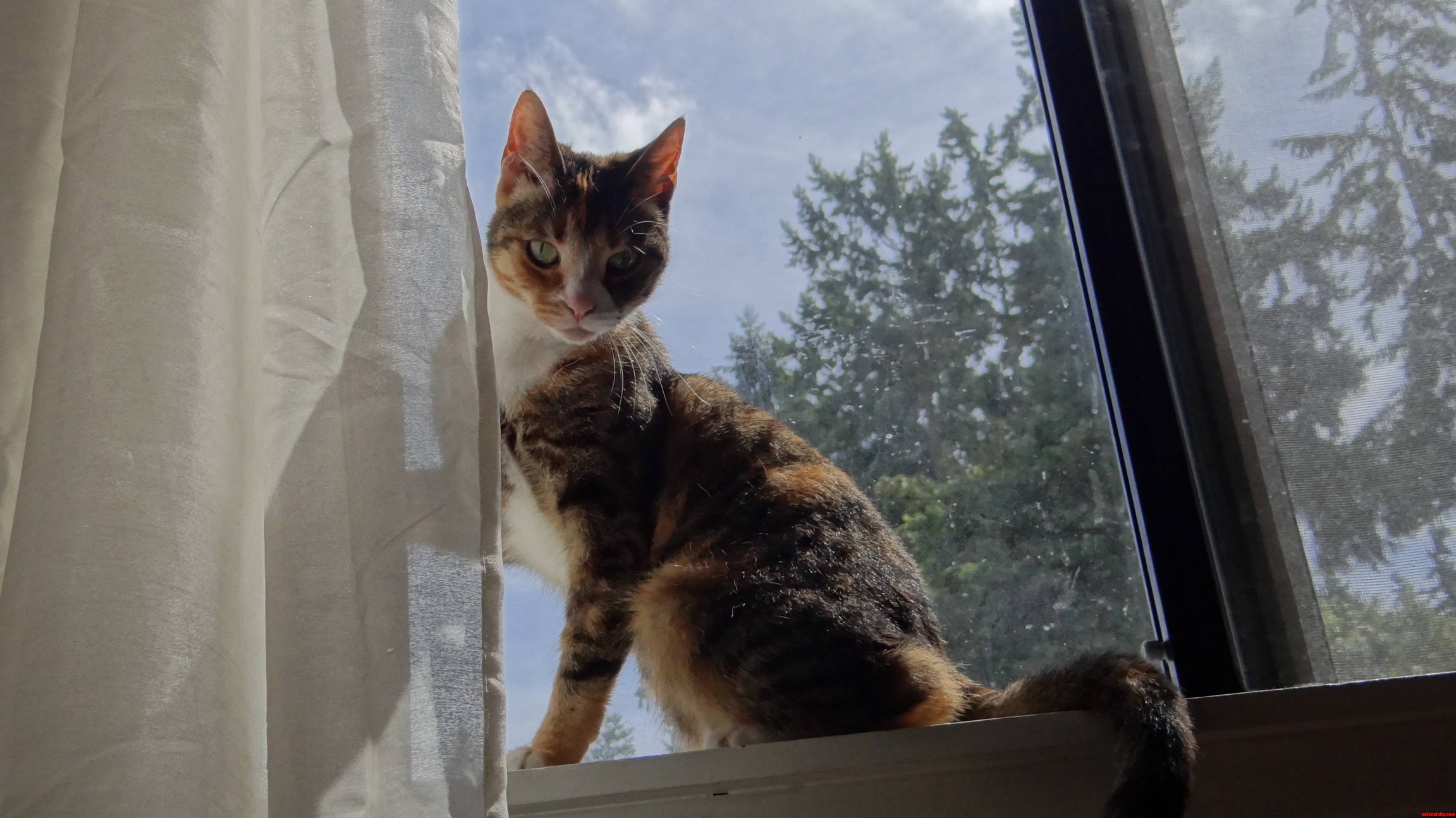 My Tiny Girl - How Do I Maintain Her Bone Health