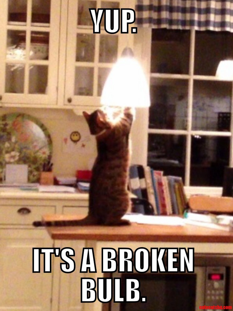 No Need to Call the Electrician