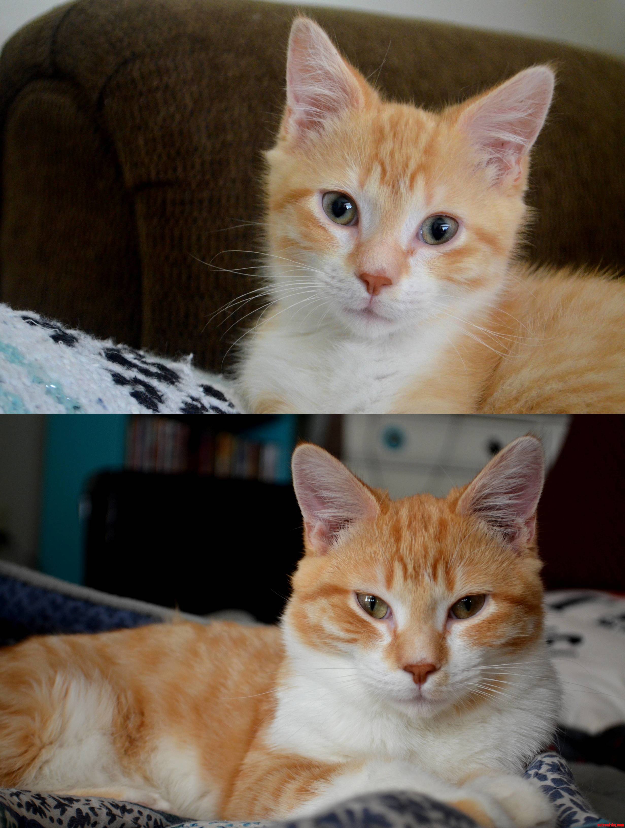 Oh How They Grow