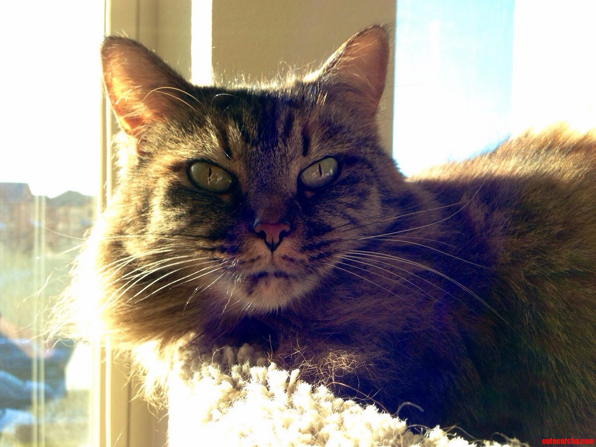 Our Beautiful Girl Looking Epically Pretty