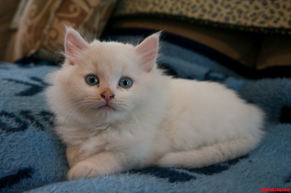 Our Little Susie May Not Be a Susie... Guess We Need a New Name