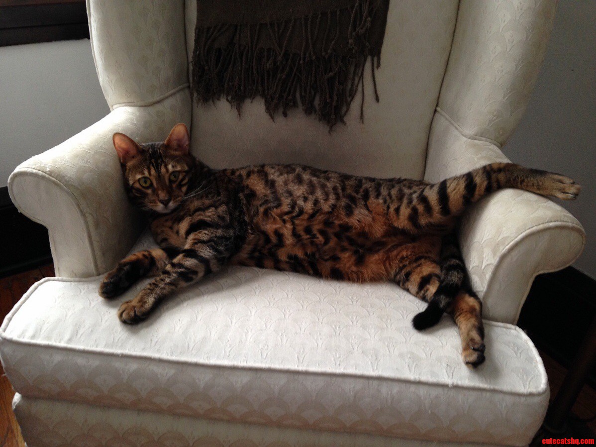 Paint Me Like on of Your French Girls...
