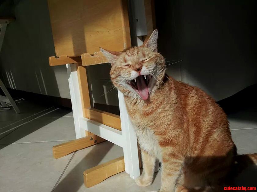 Perfect Timing