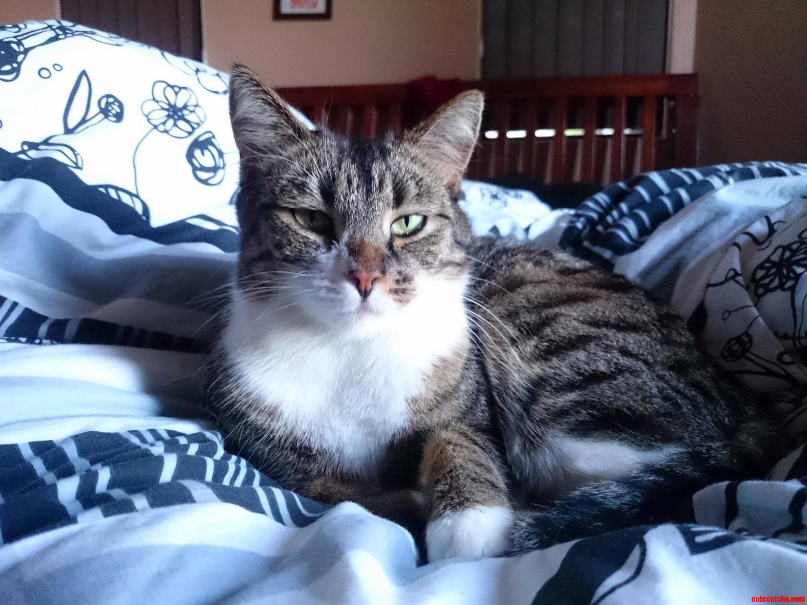 Please Dont Make the Bed