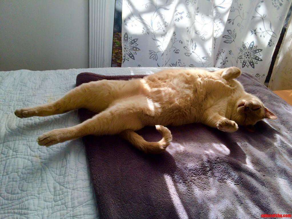 Plum Says Relax