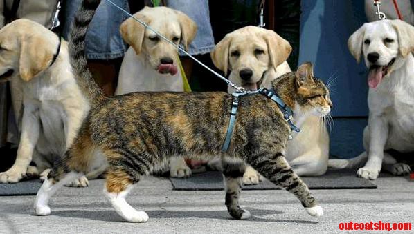 Self-confidence