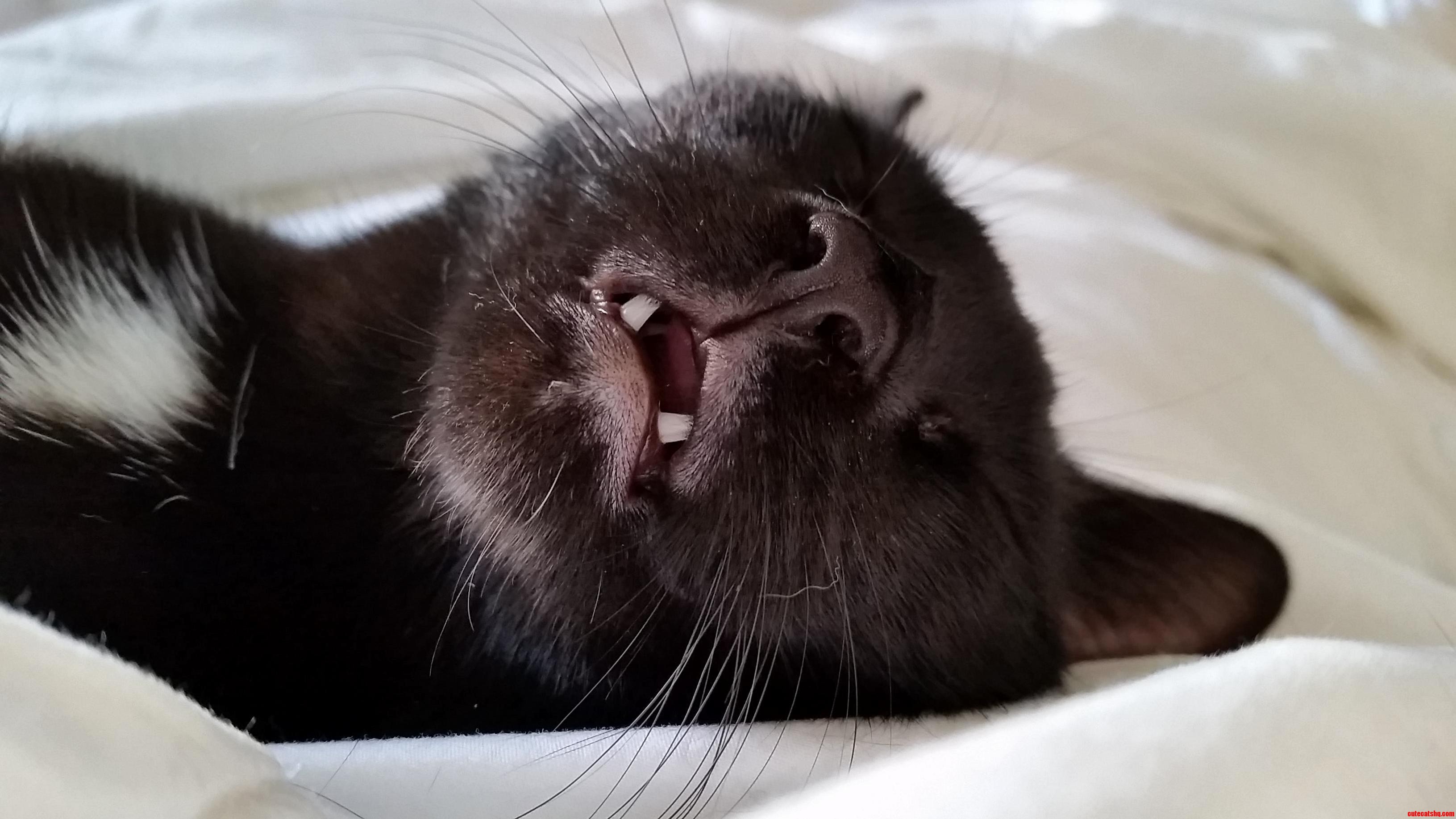 She Always Passes Right Out on Me with Her Mouth Open.