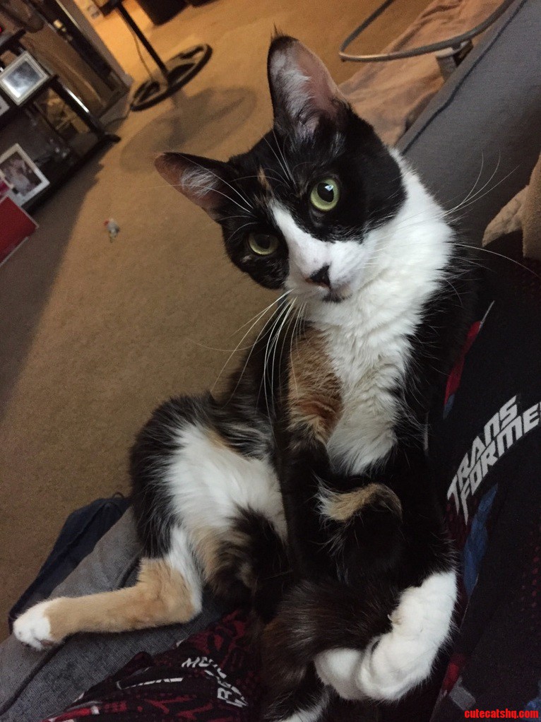 She Decided to Just Sit and Hold Her Tail