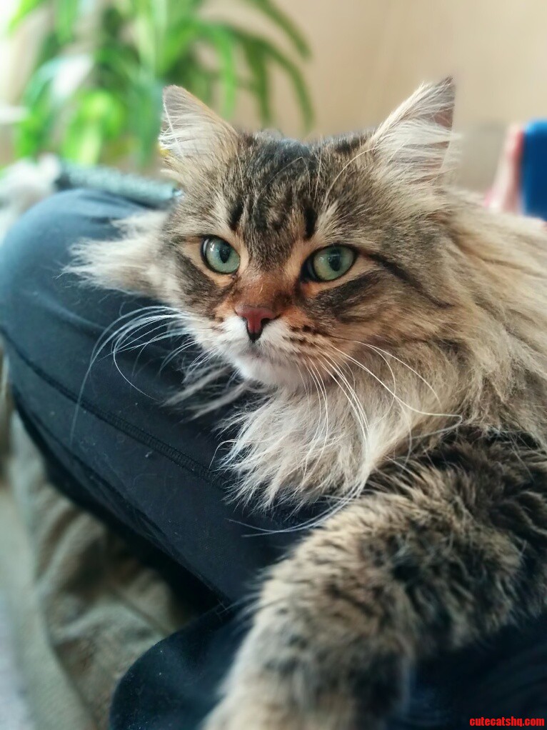 She Gets So Comfortable That We Cant Stand Up.