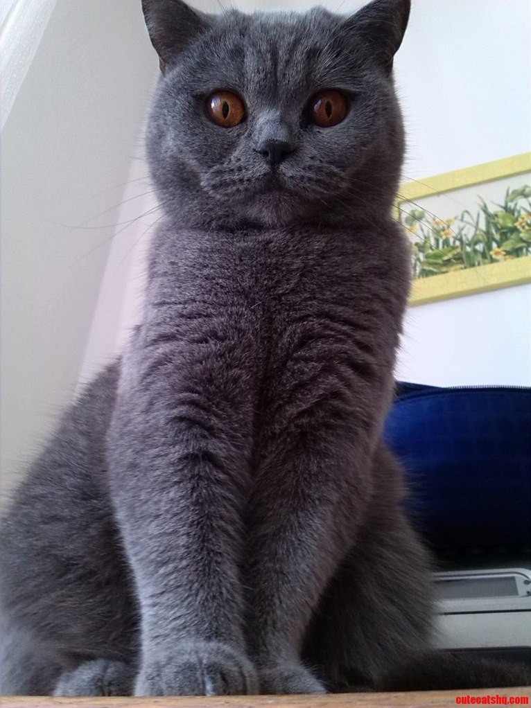 She Gives Me That Look All the Time