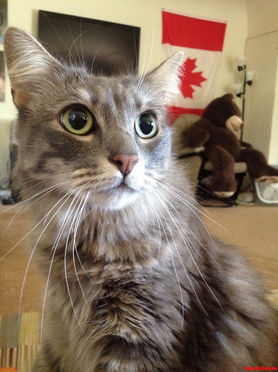 She May Be Little but She Be Fierce.