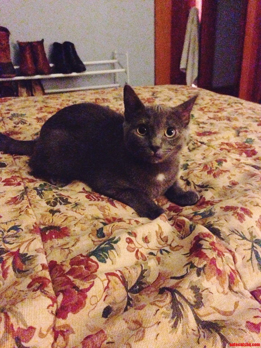 She Never Leaves My Side