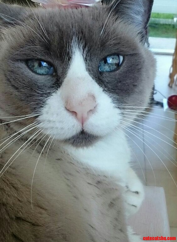 Shes 10 Years Old and So Gorgeous