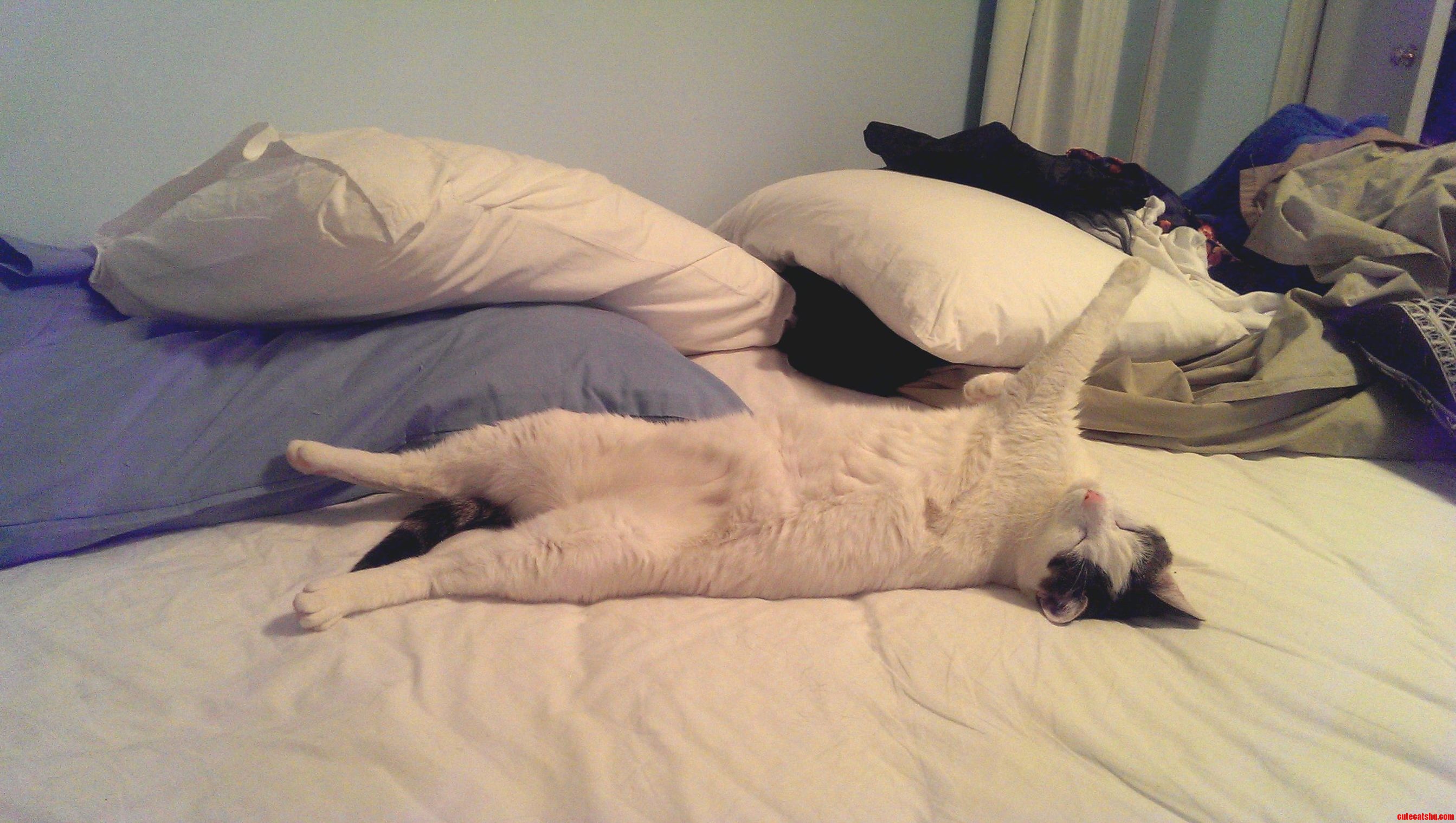 Shes a Lady