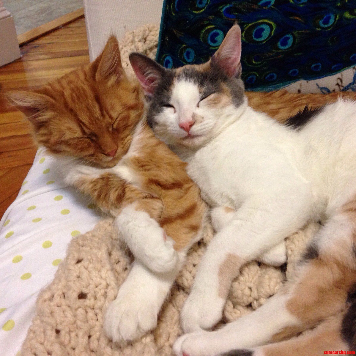 Snuggle Sisters