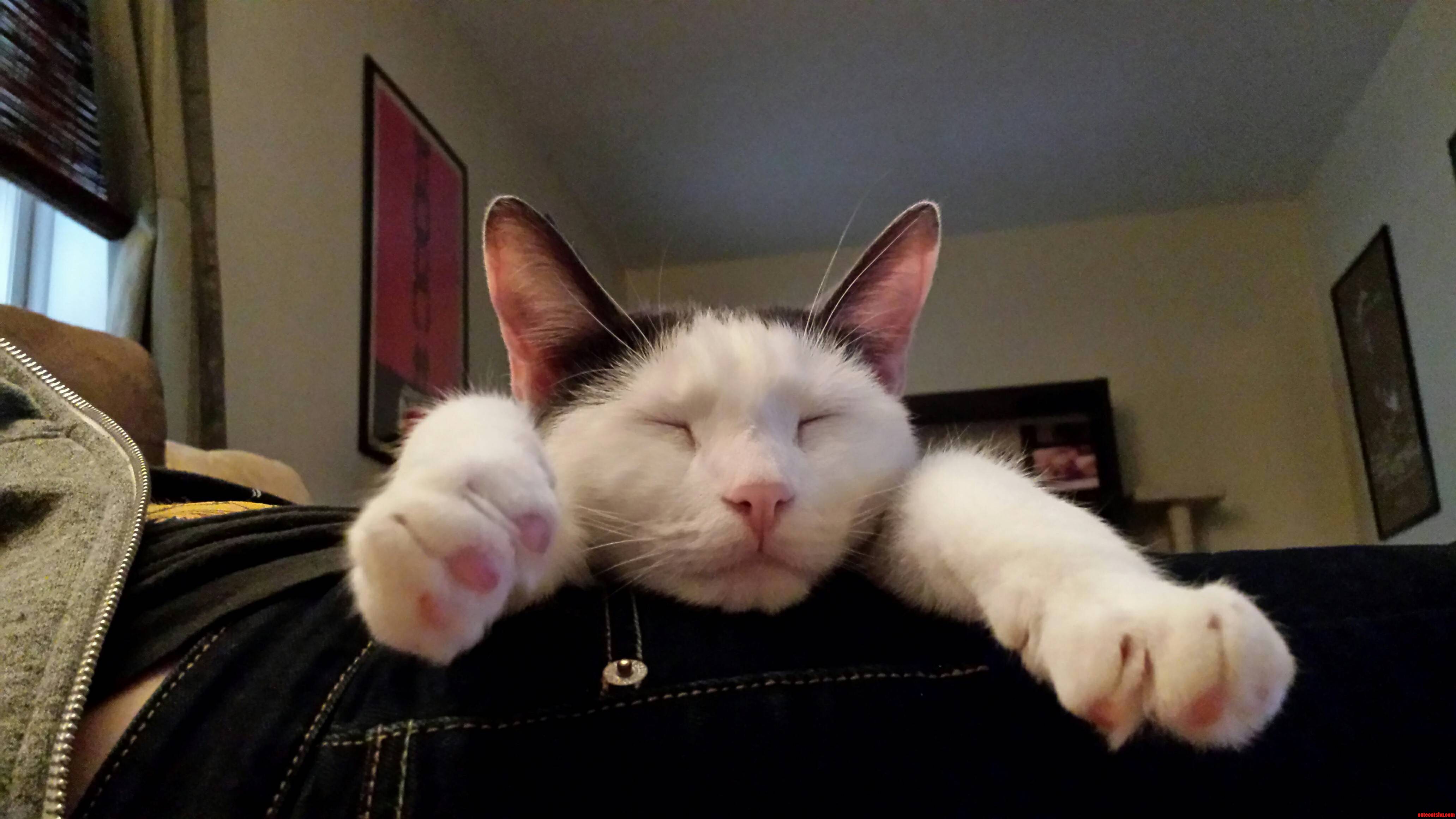 So Much for Being Productive Today.