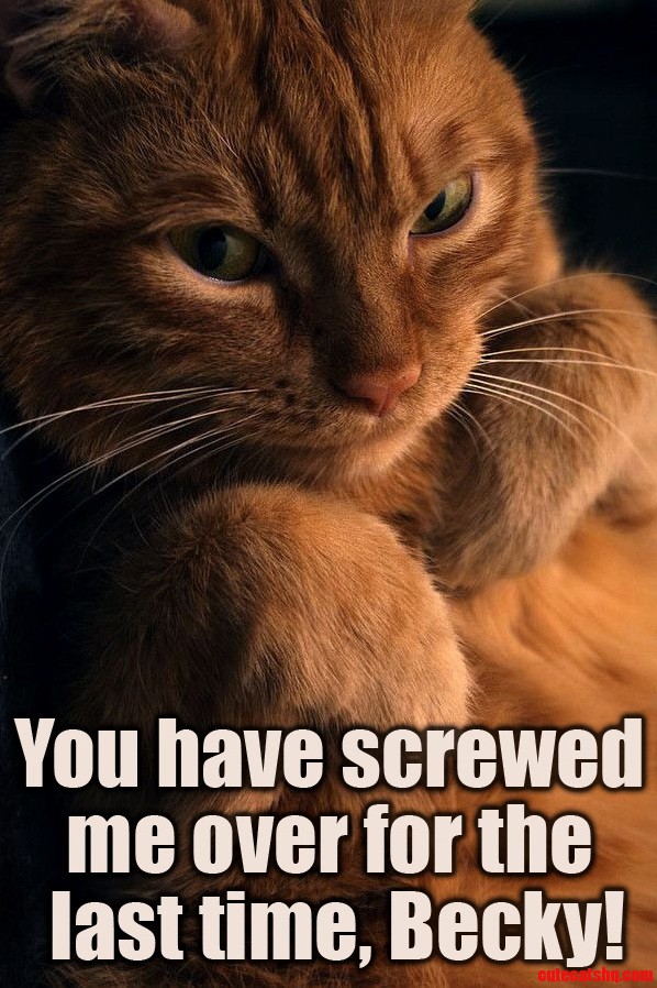 Someone Ate My Lunch from the Break Room Again
