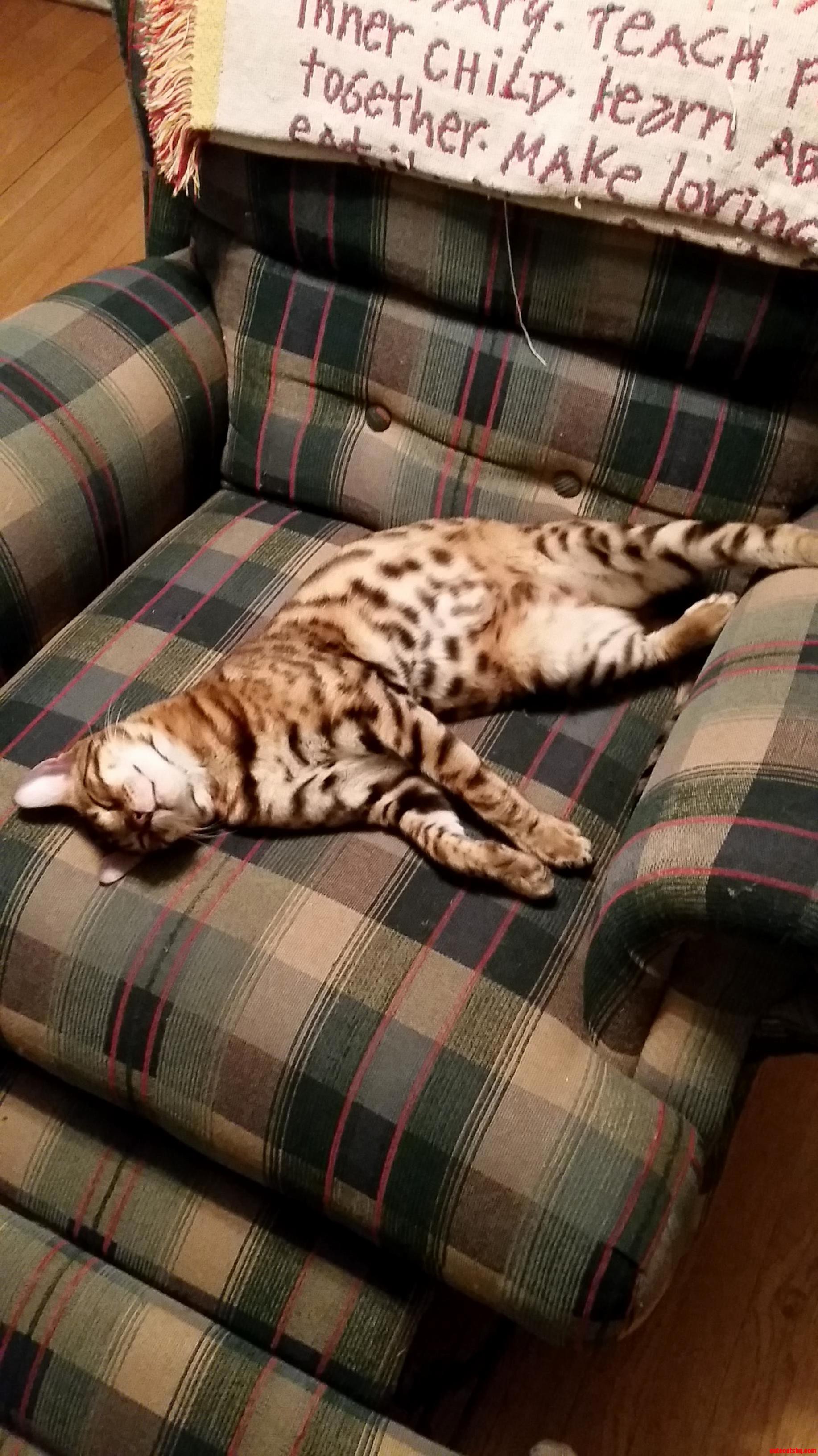 Soo Sleeeepy.