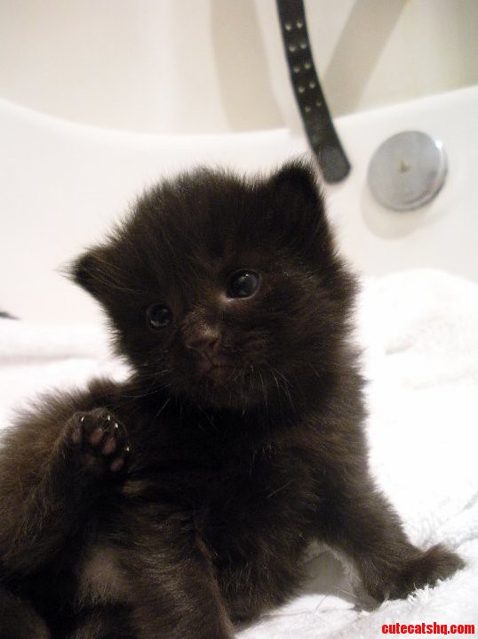 Sooooo Fluffy