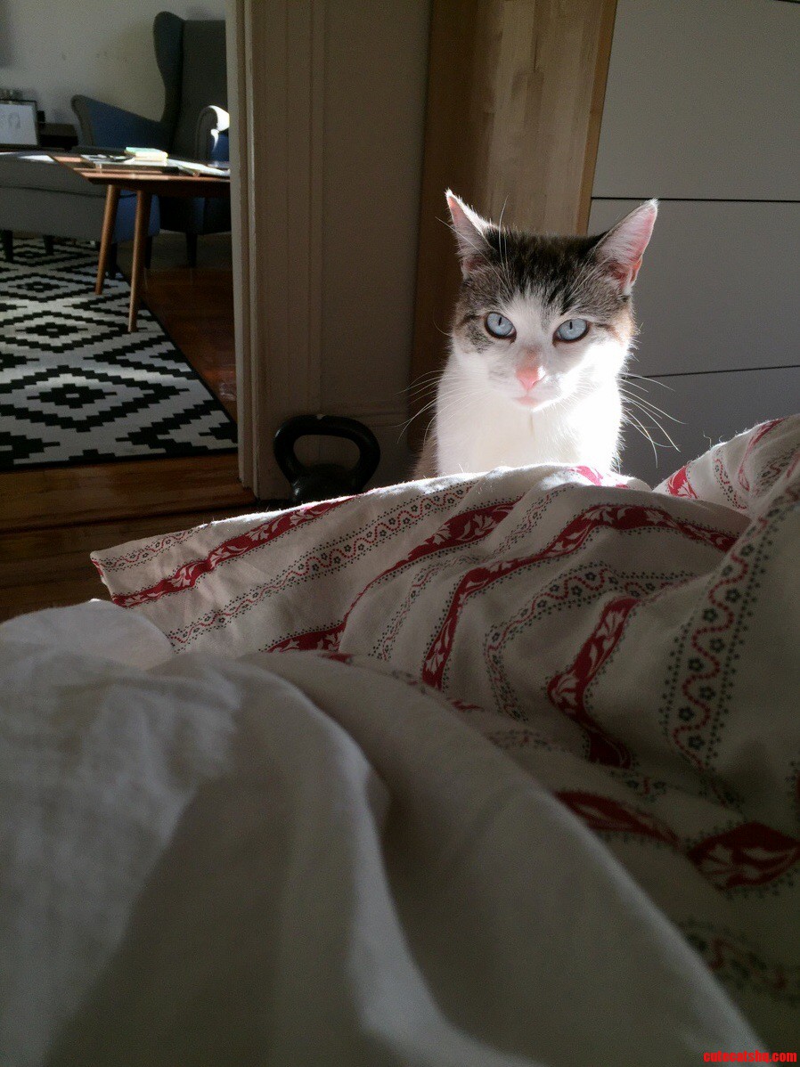 Stan Had His Hungry Eyes on Yesterday Morning.