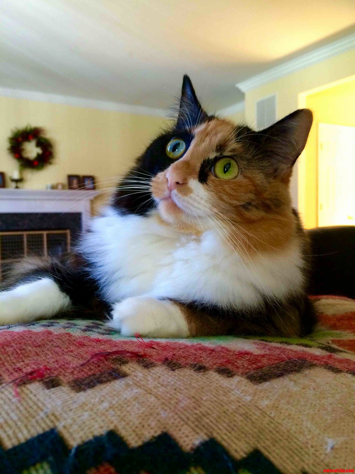 Staring Off Into Space