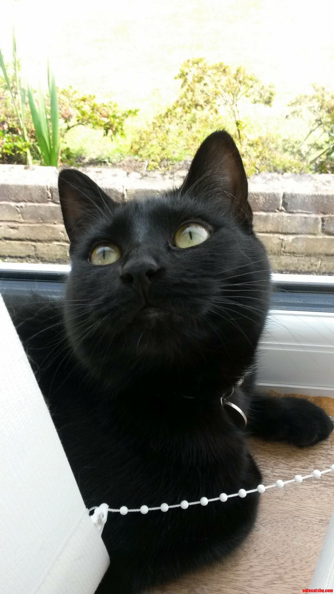 Such Green Eyes