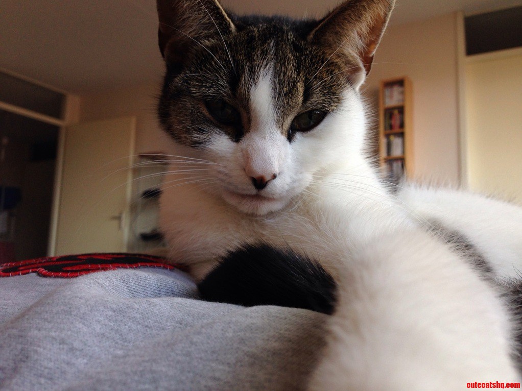Sunday Morning Selfie