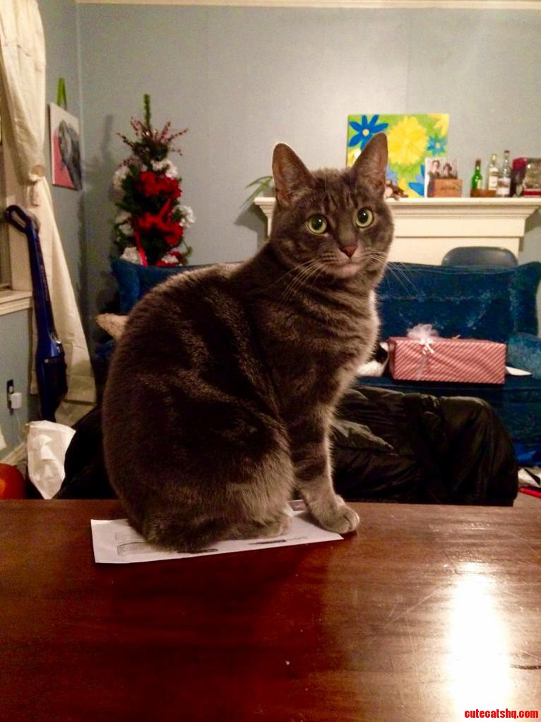 Technically I Am Not on the Table