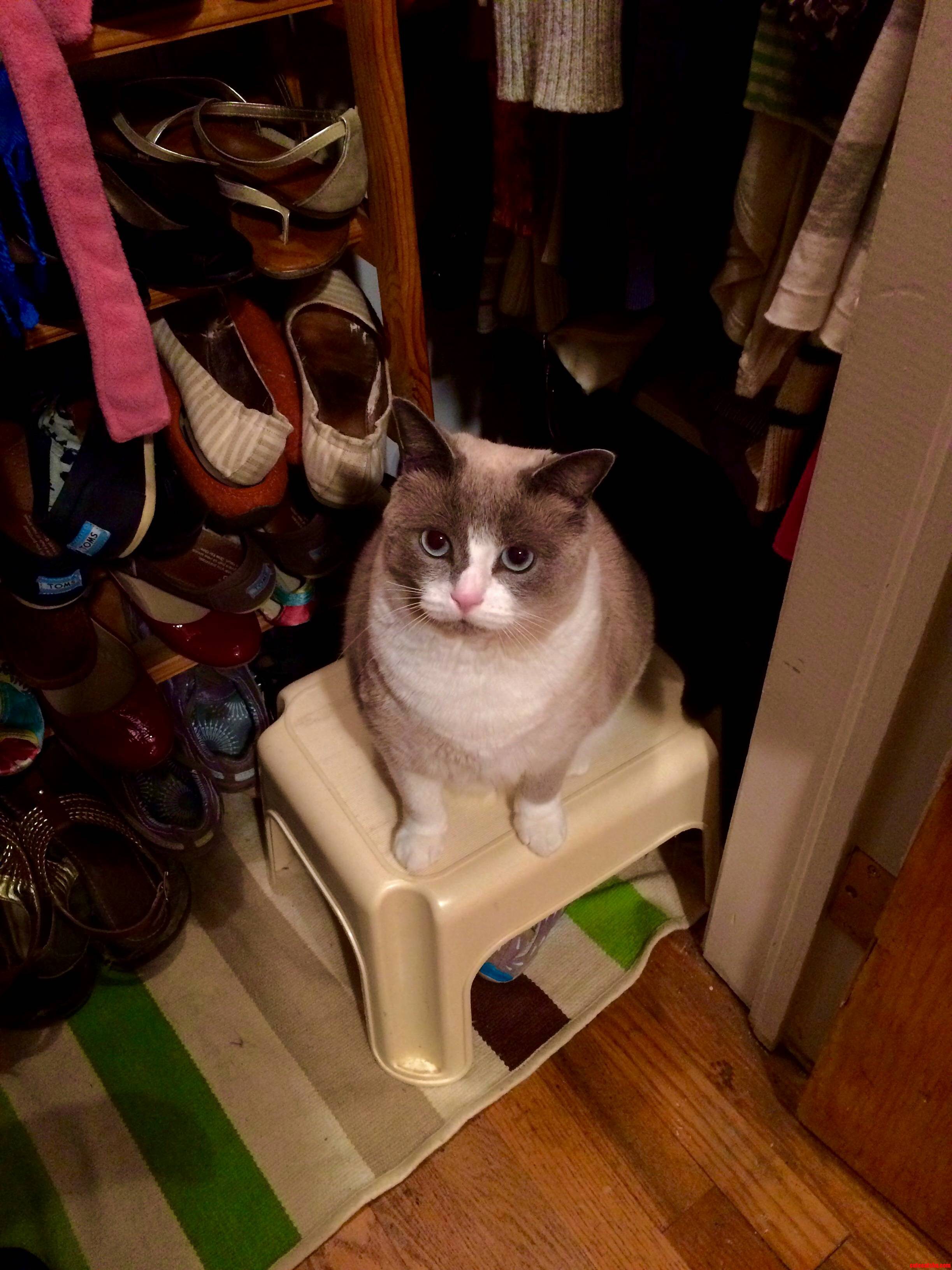 Thanks for Coming in Today. My Names Mia. What Size Do You Wear
