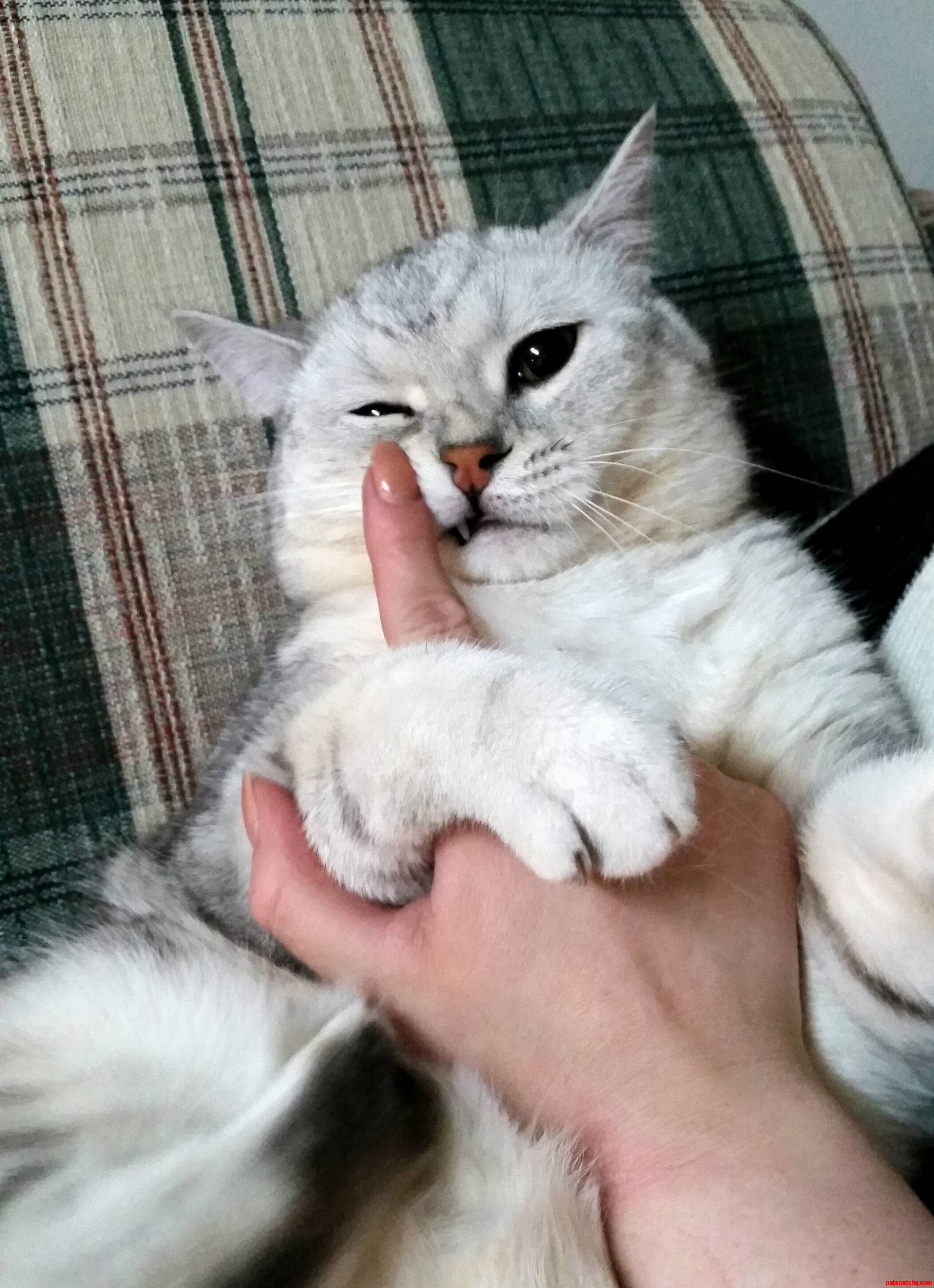 That Face...